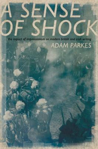 Könyv Sense of Shock Adam Parkes