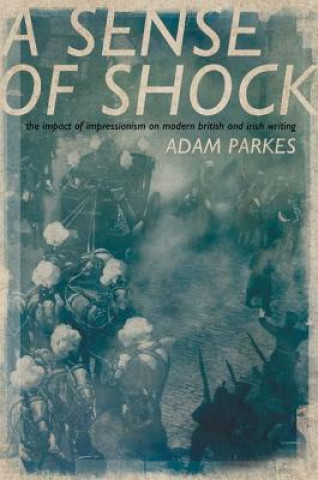 Книга Sense of Shock Adam Parkes