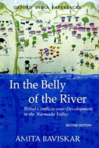 Book In the Belly of the River Amita Baviskar
