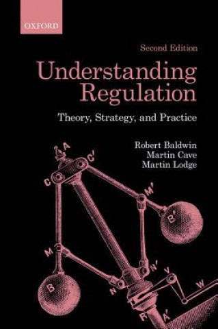 Könyv Understanding Regulation Robert Baldwin