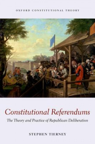 Kniha Constitutional Referendums Stephen Tierney