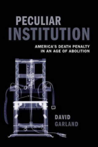 Kniha Peculiar Institution David Garland