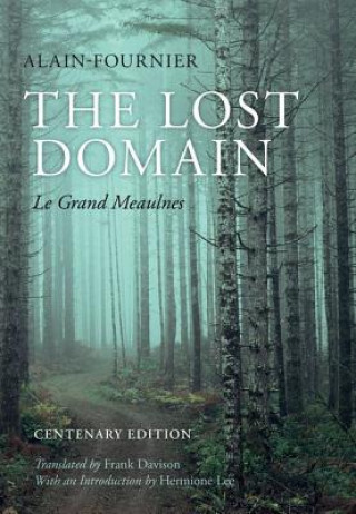 Buch Lost Domain AlainFournier AlainFournier