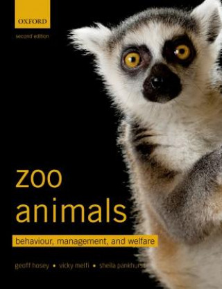 Kniha Zoo Animals Geoff Hosey