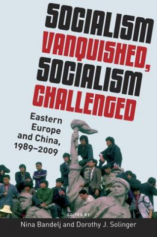 Buch Socialism Vanquished, Socialism Challenged Nina Bandelj