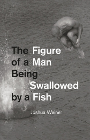 Könyv Figure of a Man Being Swallowed by a Fish Joshua Weiner