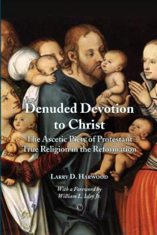 Kniha Denuded Devotion to Christ Larry D Harwood