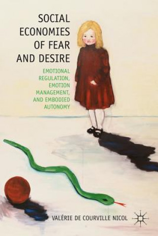 Livre Social Economies of Fear and Desire Valerie Nicol