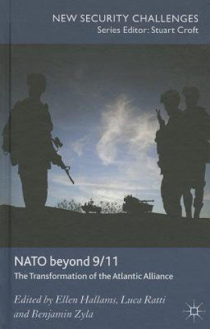 Книга NATO Beyond 9/11 Ellen Hallams