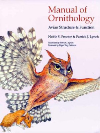 Kniha Manual of Ornithology Noble S Proctor