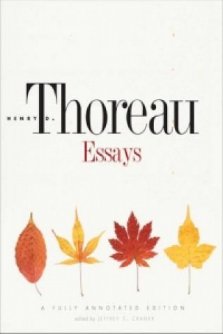 Kniha Essays Henry D Thoreau