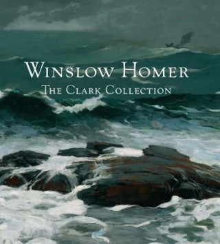 Kniha Winslow Homer Marc Simpson