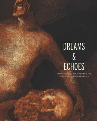 Kniha Dreams and Echoes Suzanne Folds McCullagh