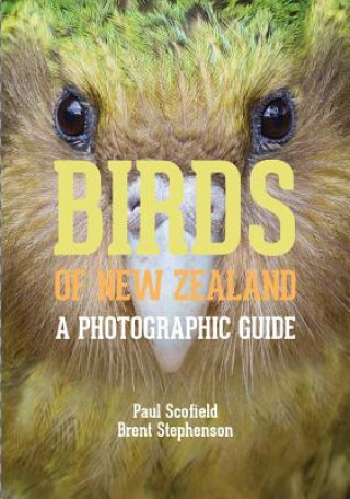 Książka Birds of New Zealand Paul Scofield