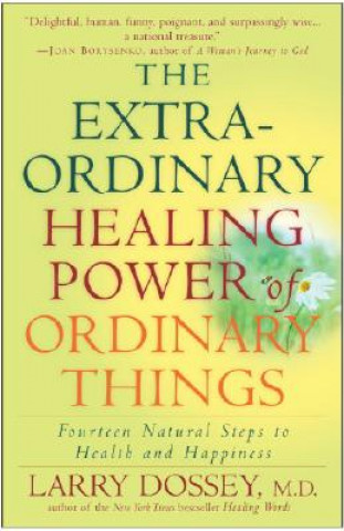 Książka Extraordinary Healing Power of Ordinary Things Larry Dossey