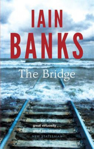 Kniha Bridge Iain Banks