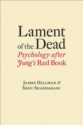 Kniha Lament of the Dead James Hillman