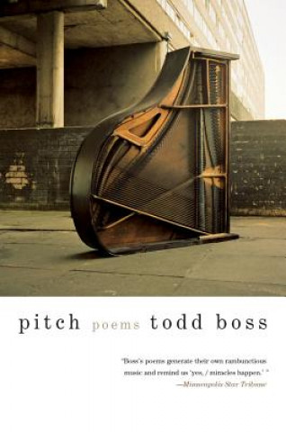 Kniha Pitch Todd Boss