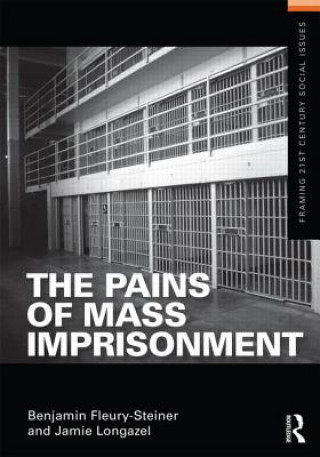 Könyv Pains of Mass Imprisonment Benjamin Fleury Steiner