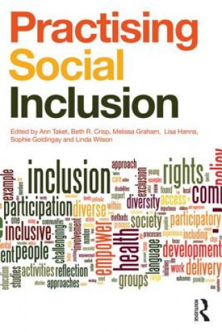 Livre Practising Social Inclusion Ann Taket