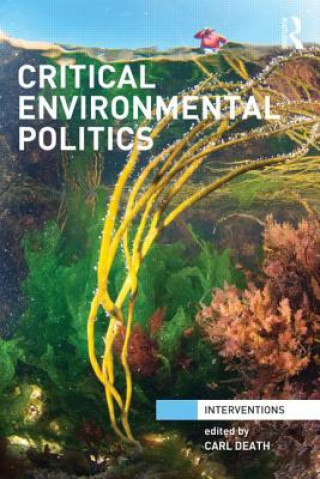 Livre Critical Environmental Politics Carl Death