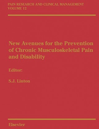 Buch New Avenues for the Prevention of Chronic Musculoskeletal Pain Steven James Linton