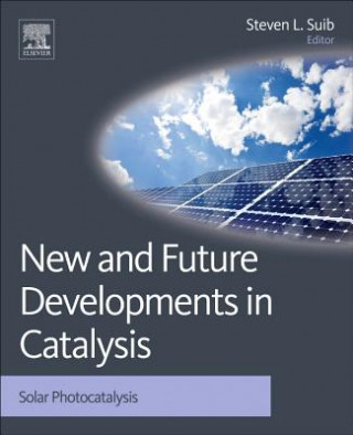 Kniha New and Future Developments in Catalysis Steven L Suib