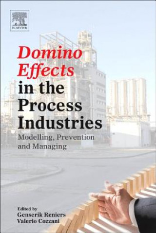 Kniha Domino Effects in the Process Industries Genserik Reniers