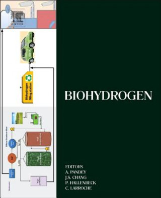 Könyv Biohydrogen Ashok Pandey