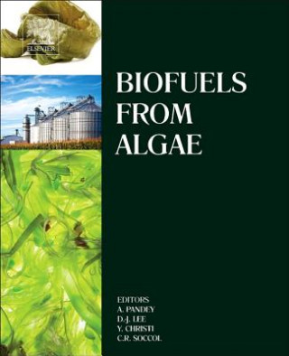 Könyv Biofuels from Algae Ashok Pandey