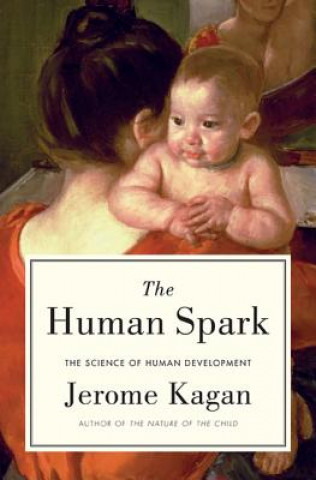 Kniha Human Spark Jerome Kagan