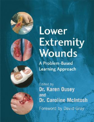 Livre Lower Extremity Wounds - A Problem-Based Learning Approach Karen Ousey