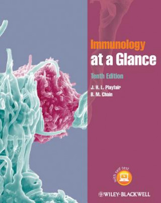 Könyv Immunology at a Glance 10e JHL Playfair