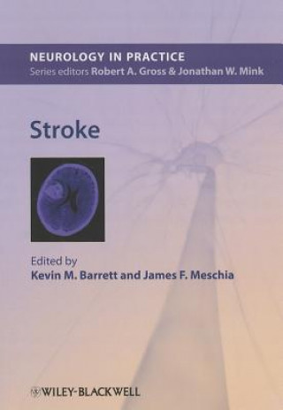 Kniha Stroke Kevin M Barrett