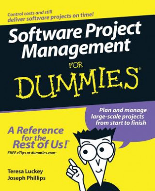 Kniha Software Project Management For Dummies Joseph Phillips