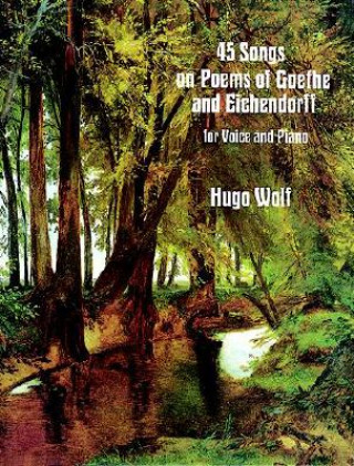 Buch Hugo Wolf Hugo Wolf