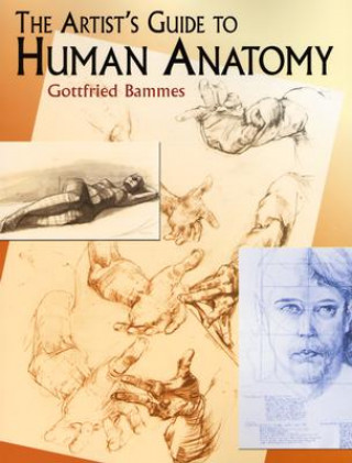 Book Artist's Guide to Human Anatomy Gottfried Bammes