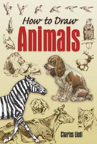 Kniha How to Draw Animals Charles Liedl
