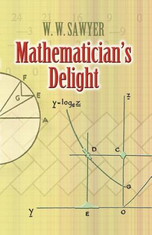 Kniha Mathematician's Delight W W Sawyer