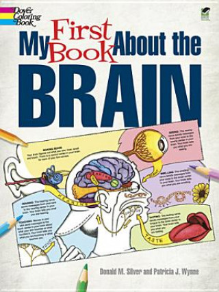 Livre My First Book About the Brain Patricia J Wynne