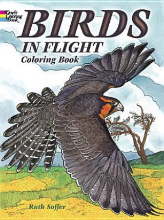 Kniha Birds in Flight Coloring Book Ruth Soffer