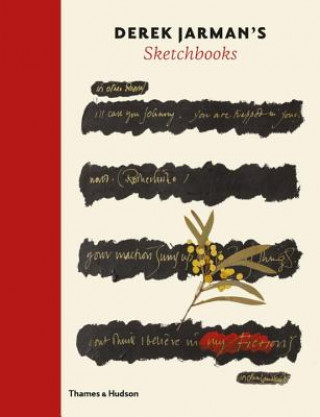 Kniha Derek Jarman's Sketchbooks Stephen Farthing