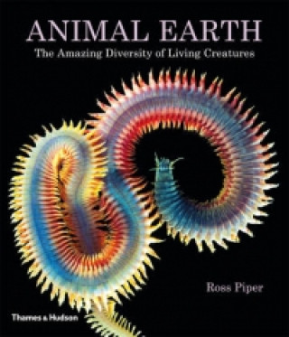 Książka Animal Earth Ross Piper