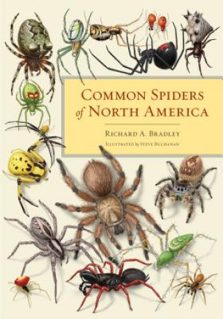 Livre Common Spiders of North America Richard A Bradley