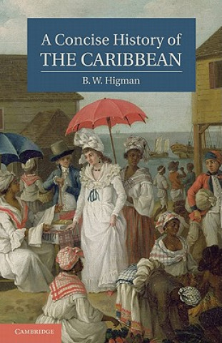 Könyv Concise History of the Caribbean B  W Higman