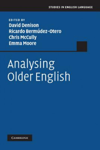 Kniha Analysing Older English Ricardo Bermudez Otero