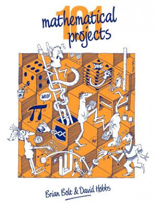 Buch 101 Mathematical Projects Brian Bolt