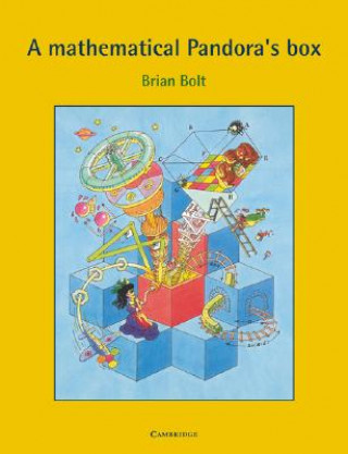 Carte Mathematical Pandora's Box Brian Bolt