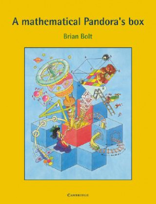 Kniha Mathematical Pandora's Box Brian Bolt