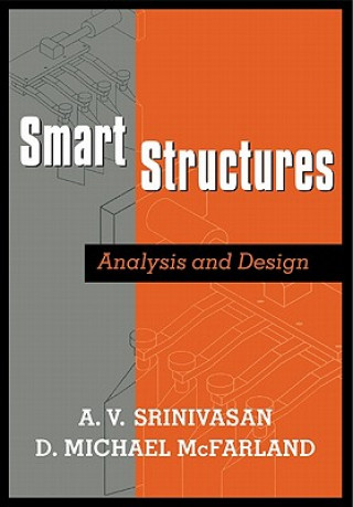 Boek Smart Structures A V Srinivasan
